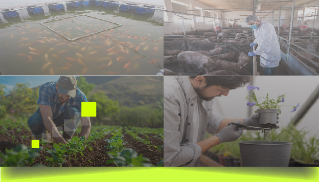 Agriculture