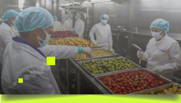 Food Security