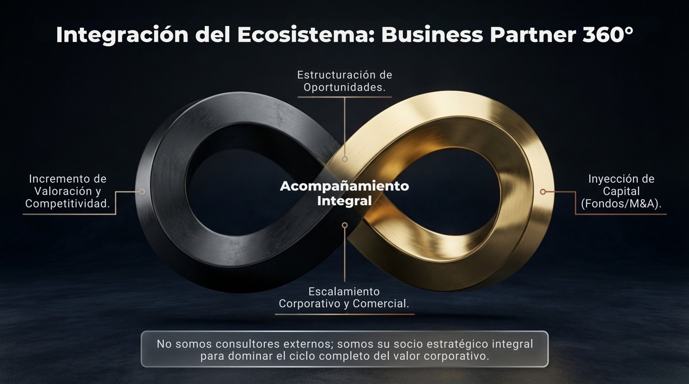 Business Partner 360 ecosystem
